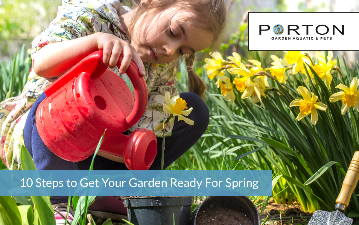 10 Steps to Get Your Garden Ready For Spring