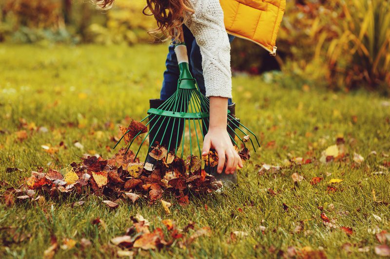 Leaves Rake