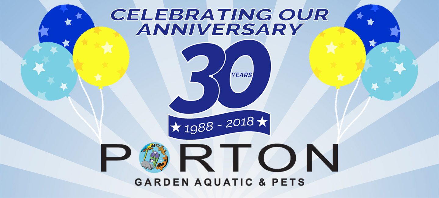 30th Anniversary Header