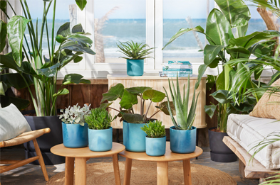 Atlantic Blue Elho Ocean Pots Collection