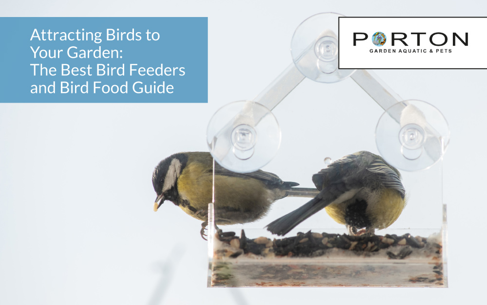 Attracting Birds to Your Garden: The Best Bird Feeders and Bird Food Guide
