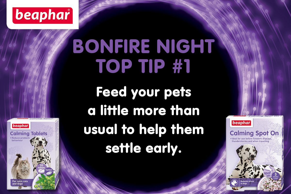 Bonfire Night Top Tip