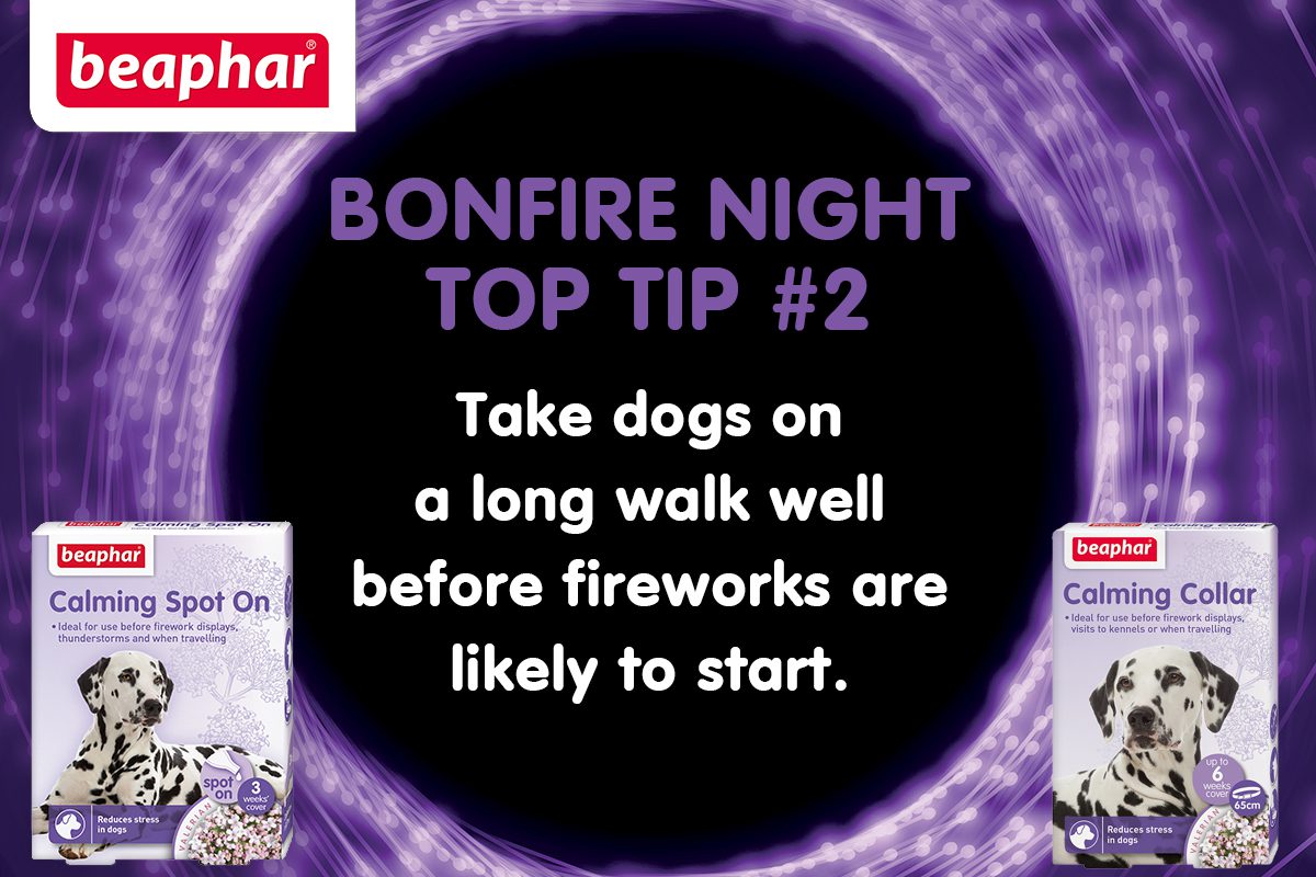 Bonfire Night Top Tip