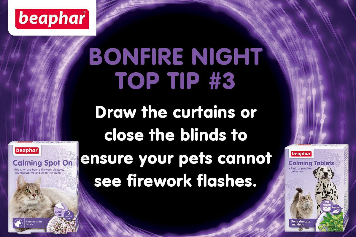 Bonfire Night Top Tip