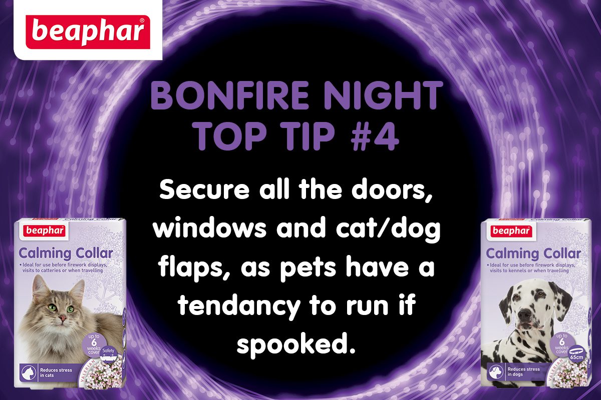 Bonfire Night Top Tip