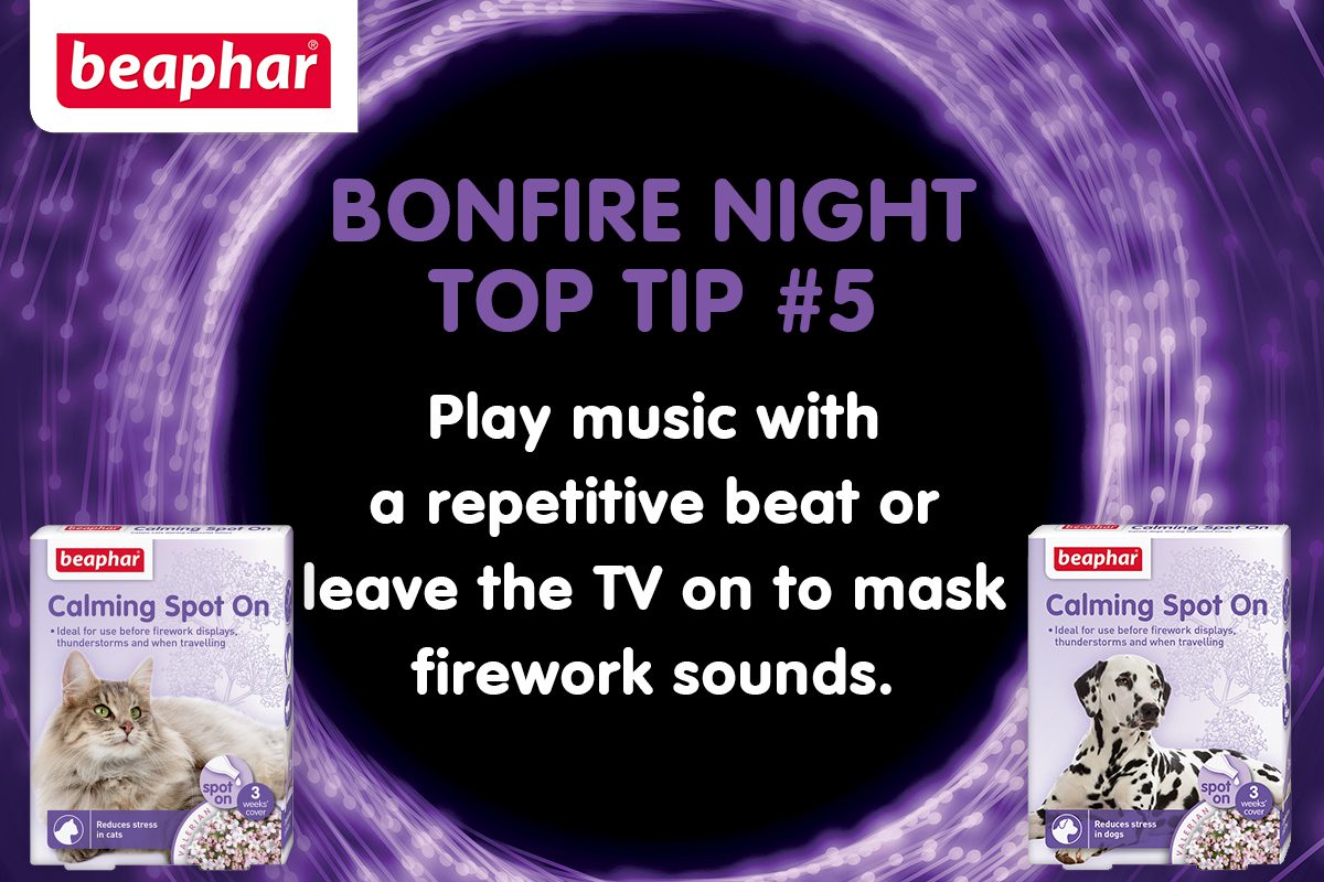 Bonfire Night Top Tip
