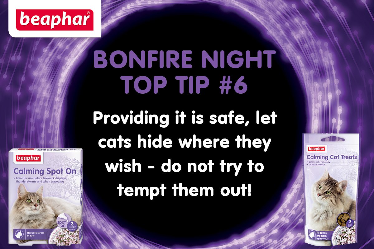 Bonfire Night Top Tip