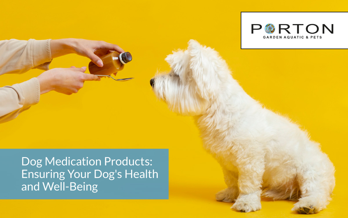 Dog Medication Products: Ensuring Your Dog's Health and Well-Being