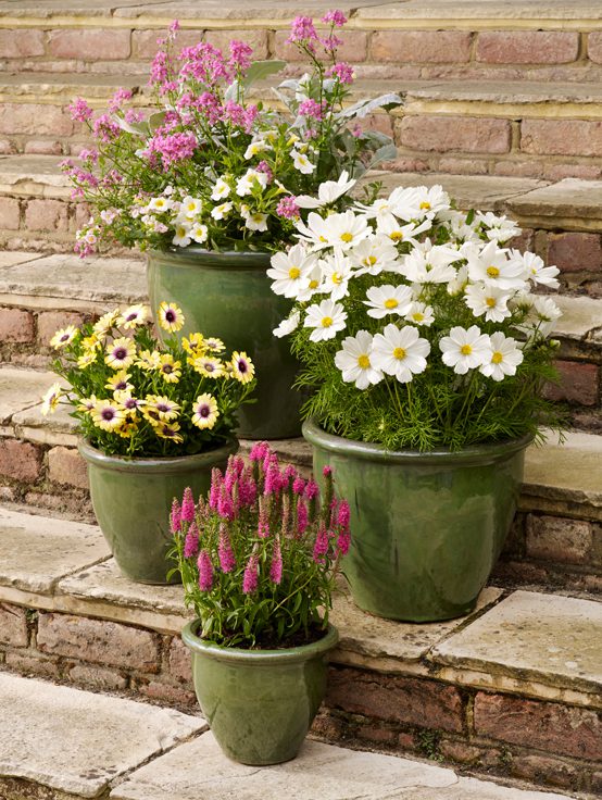 New Pots And Planters