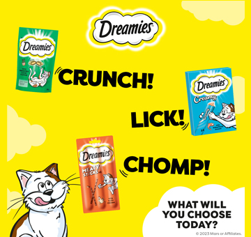 Dreamies Cat Treats