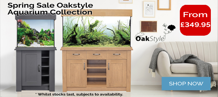 Oakstyle Aquarium Spring Sale