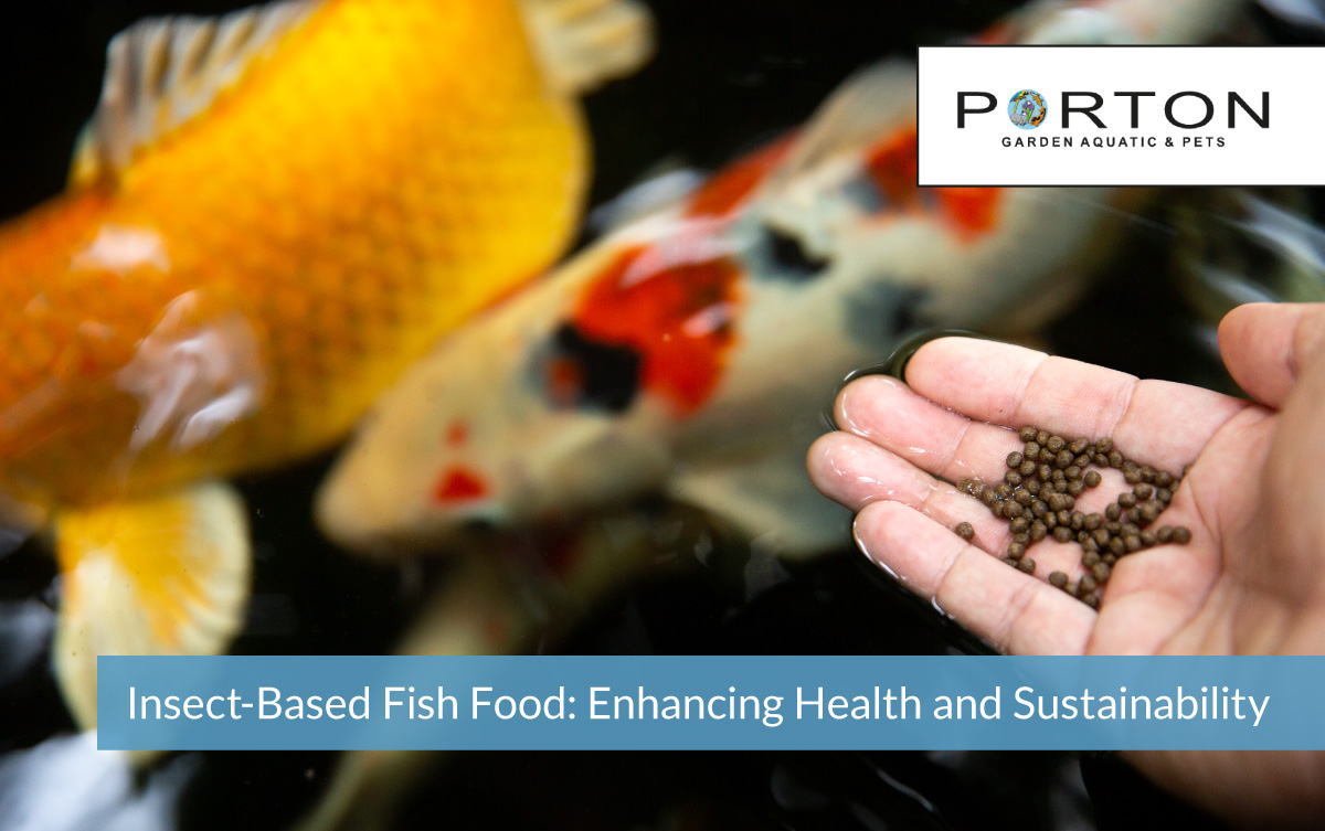 Insect-Based Fish Food: Enhancing Health and Sustainability