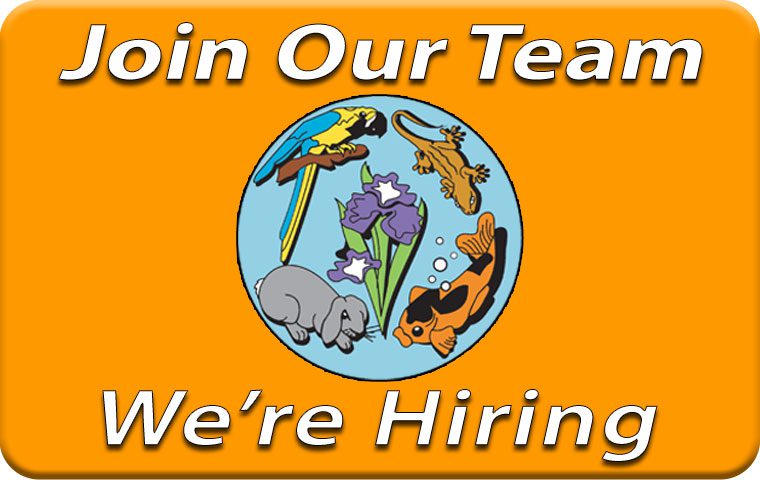 Join our team