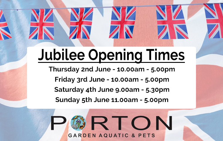 Platinum Jubilee Opening Times 2022