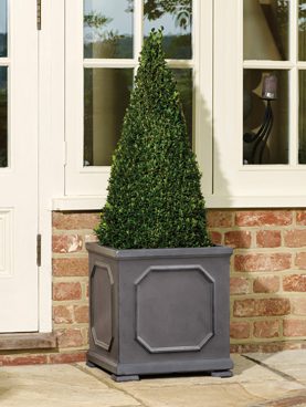 New Pots And Planters Kensington