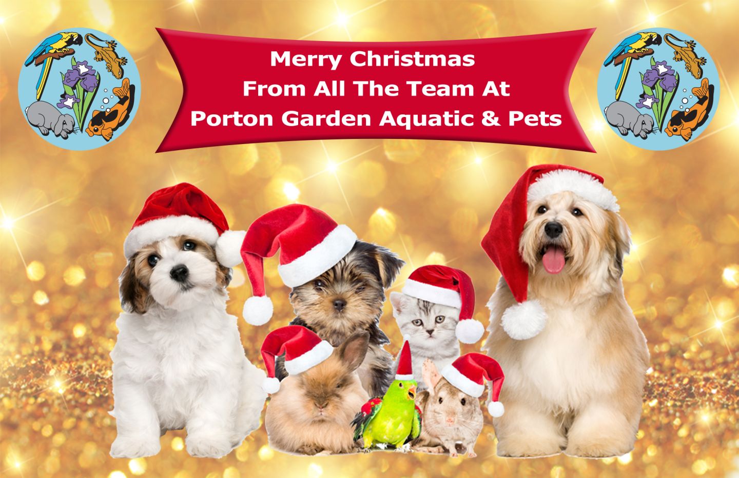 Merry Christmas from the team 2022 Merry Christmas From The Team