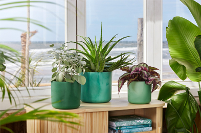 Pacific Green Elho Ocean Pots Collection