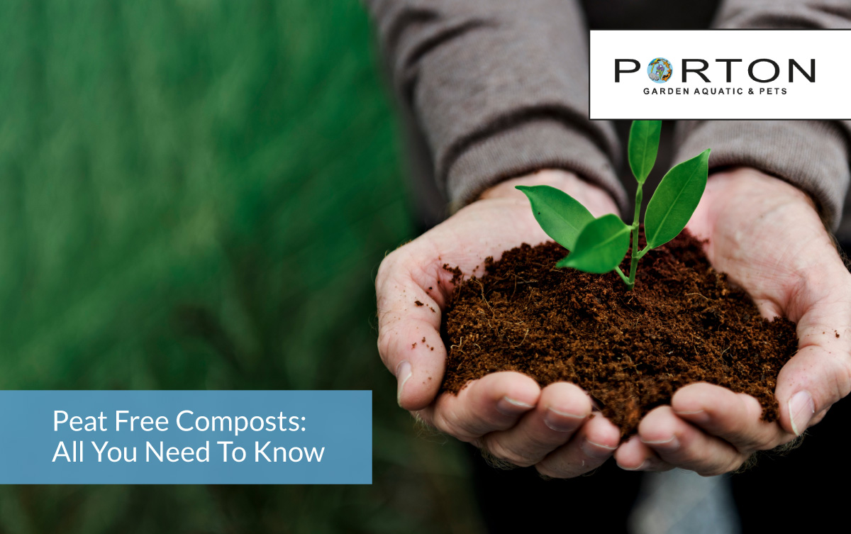 Peat Free Composts: All You Need To Know