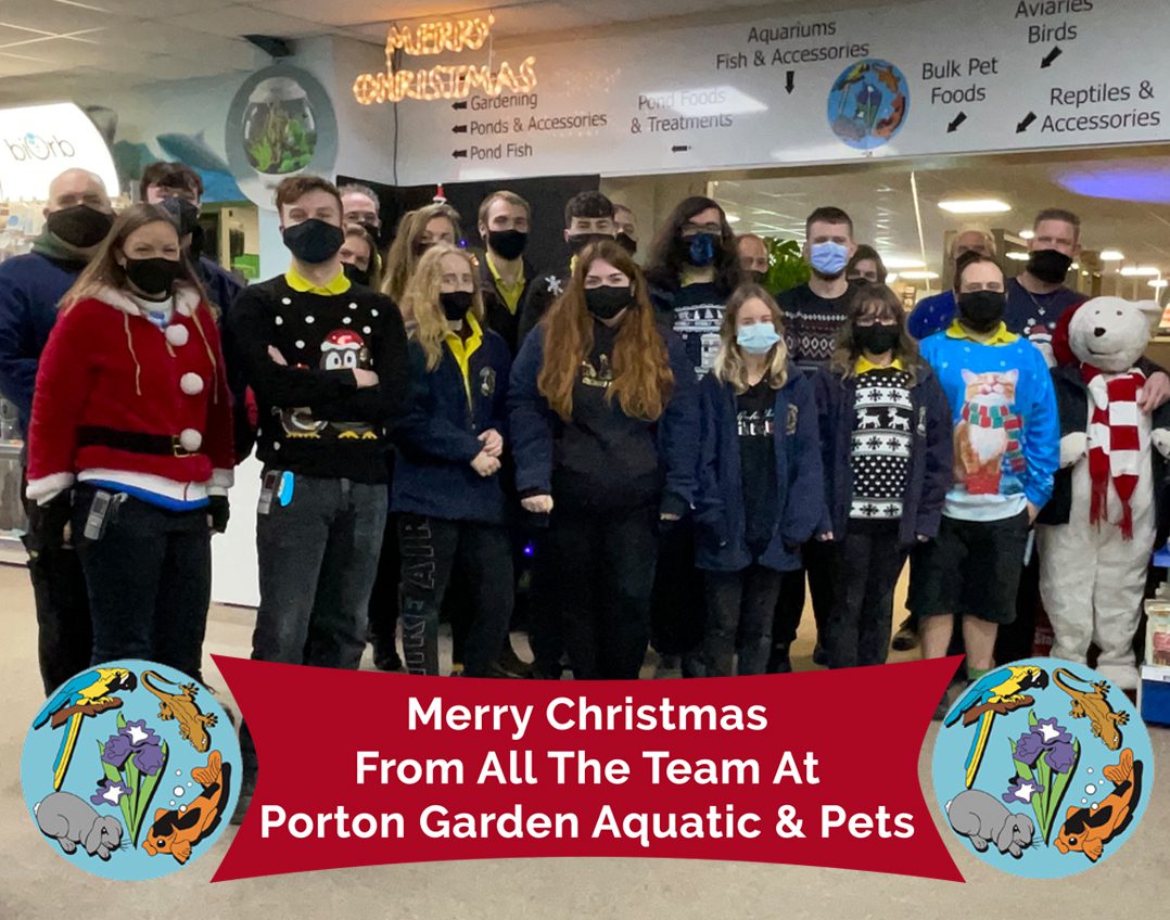 Staff Photo 1 Merry Christmas From The Team