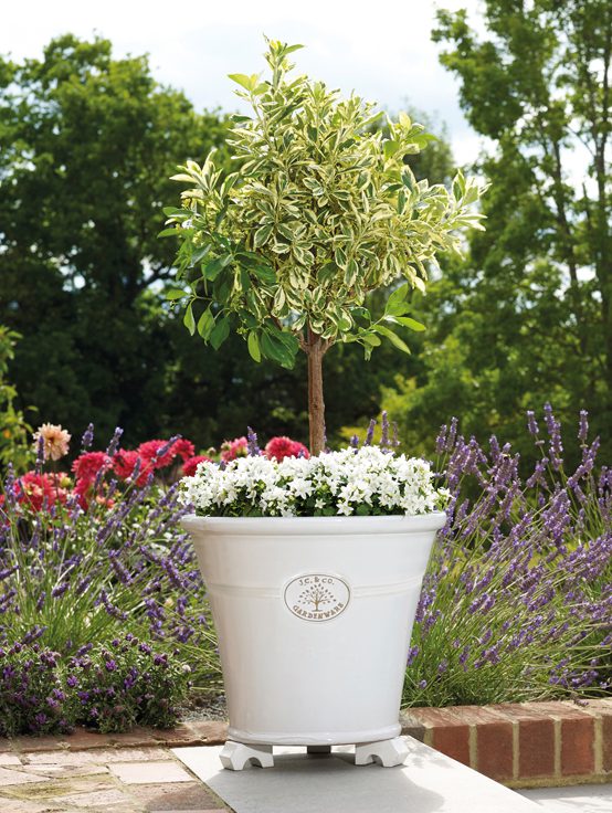 New Pots And Planters