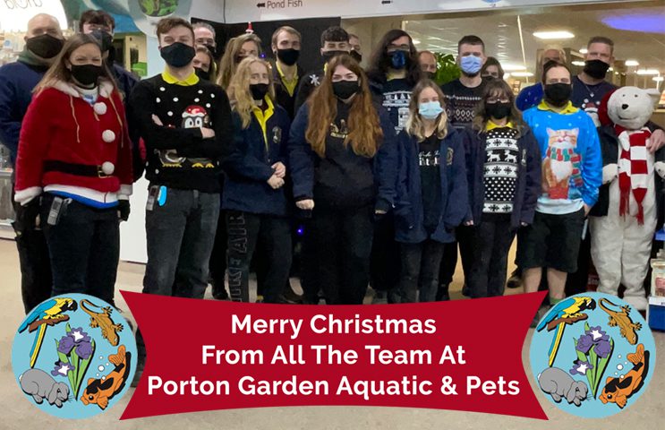 Merry Christmas from Porton Team - Christmas Opening Times 2022
